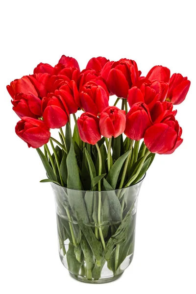Beyaz backgro izole vazoda, buket kırmızı çiçekler — Stok fotoğraf