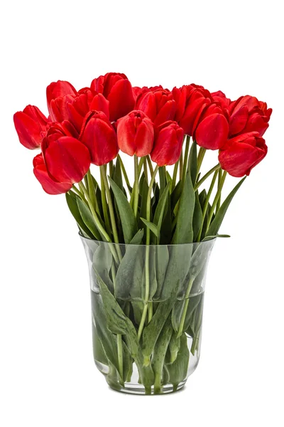 Beyaz backgro izole vazoda, buket kırmızı çiçekler — Stok fotoğraf