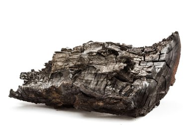 Kömürleşmiş bunt, beyaz bir arka plan üzerinde izole