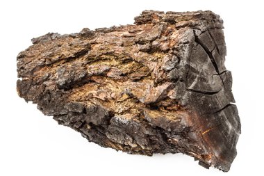Beyaz arka plan üzerinde izole kabuk kömürleşmiş odun