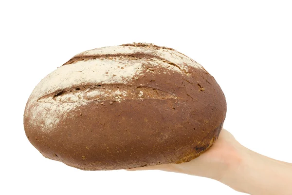 Women's hands holding loaf of bread, isolated on white backgroun — Stock Photo, Image