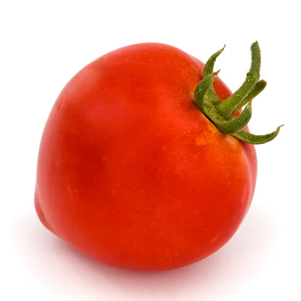 Verse tomaat, geïsoleerd op witte achtergrond — Stockfoto
