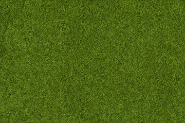 Yeşil çimenlerin arkaplanı