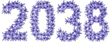 2038 yazıtları, sümbülün doğal çiçeklerinden, beyaz arka planda izole edilmiş.