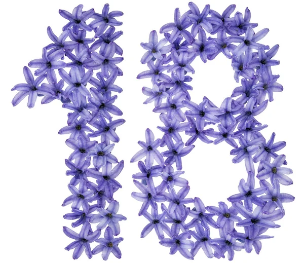 Číslo Osmnáct Přirozených Květů Hyacintu Izolované Bílém Pozadí — Stock fotografie