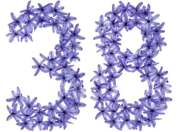 Číslo Třicet Osm Přirozených Květů Hyacintu Izolovaných Bílém Pozadí — Stock fotografie