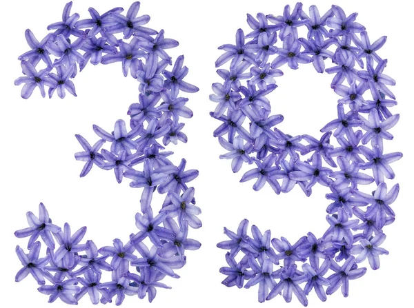 Číslo Třicet Devět Přirozených Květů Hyacintu Izolovaných Bílém Pozadí — Stock fotografie