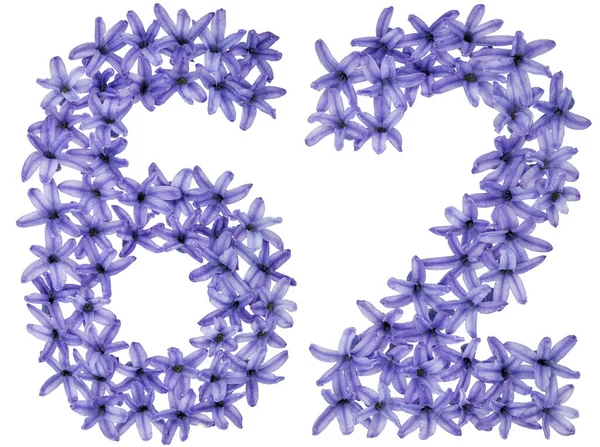 Numer Sześćdziesiąt Dwa Naturalnych Kwiatów Hiacyntu Odizolowanych Białym Tle — Zdjęcie stockowe