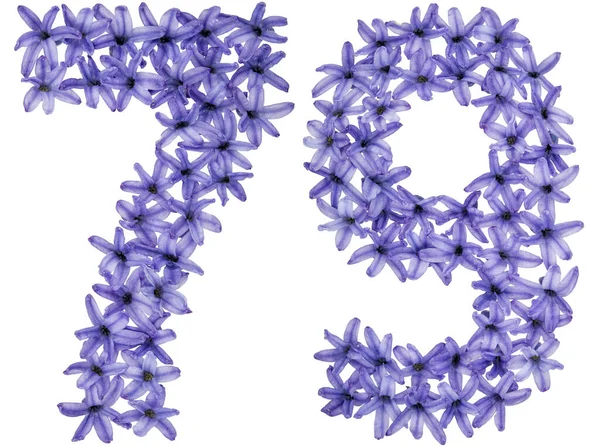 Numeral Seventy Nine Natural Flowers Hyacinth Isolated White Background — Stock Photo, Image