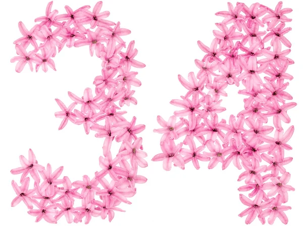 Numer Trzydzieści Cztery Naturalnych Kwiatów Hiacyntu Odizolowanych Białym Tle — Zdjęcie stockowe