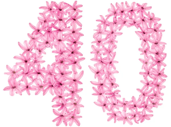 40, 40, 4 numaralı sümbülün doğal çiçeklerinden, beyaz arka planda izole edilmiş.