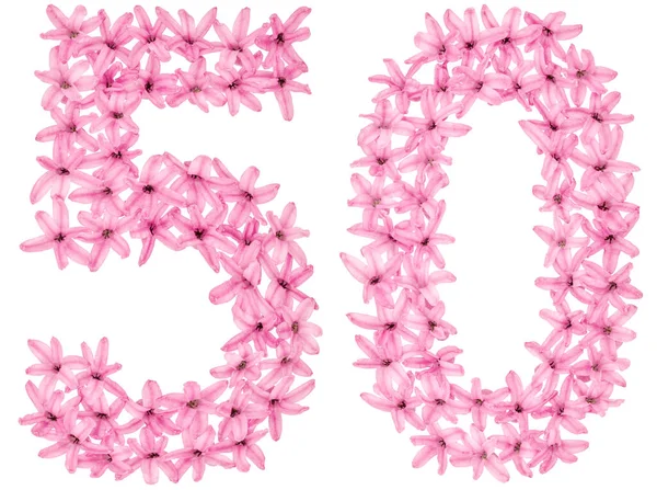 Číslice Přirozených Květů Hyacintu Izolované Bílém Pozadí — Stock fotografie