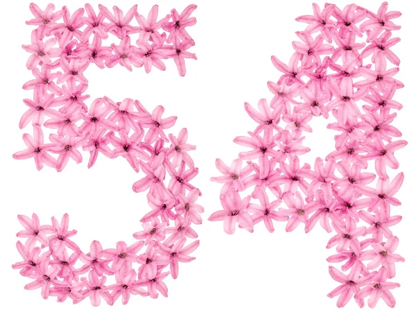Число Ятдесят Чотири Природних Квітів Гіацинту Ізольовані Білому Тлі — стокове фото