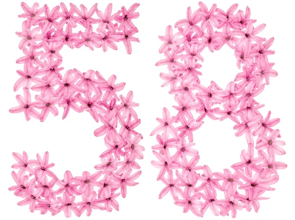 Číslo Padesát Osm Přirozených Květů Hyacintu Izolovaných Bílém Pozadí — Stock fotografie