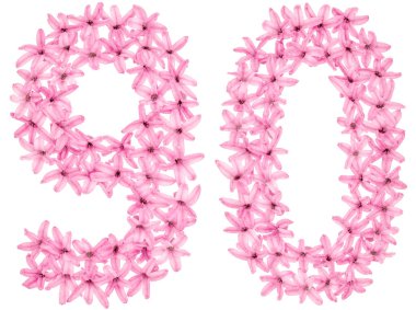 90 numara, 90, sümbülün doğal çiçeklerinden, beyaz arka planda izole edilmiş.