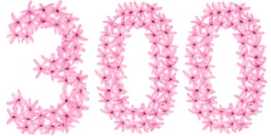 300, 300 numara, sümbülün doğal çiçeklerinden, beyaz arka planda izole edilmiş.