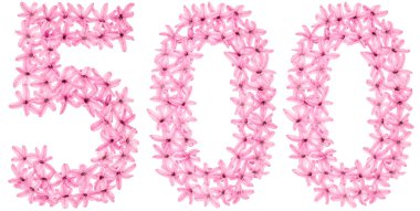 Numeral 500, five hundred, from natural flowers of hyacinth, isolated on white background clipart