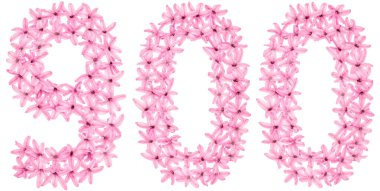 900, 900 numara, sümbülün doğal çiçeklerinden, beyaz arka planda izole edilmiş.