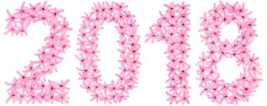 2018 yazıtları, sümbülün doğal çiçeklerinden, beyaz arka planda izole edilmiş.