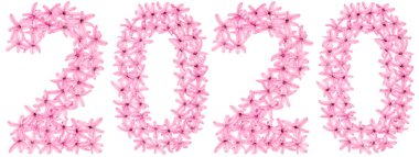 2020 yazıtları, sümbülün doğal çiçeklerinden, beyaz arka planda izole edilmiş.