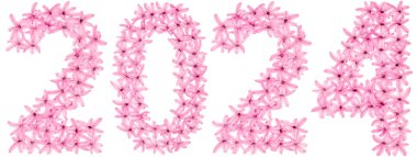 2024 yazıtları, sümbülün doğal çiçeklerinden, beyaz arka planda izole edilmiş.