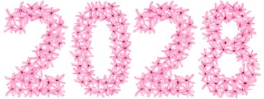 2028 yazıtları, sümbülün doğal çiçeklerinden, beyaz arka planda izole edilmiş.