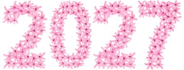 2027 yazıtları, sümbülün doğal çiçeklerinden, beyaz arka planda izole edilmiş.