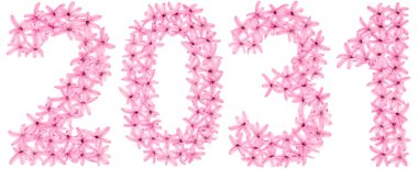 2031 yazıtları, sümbülün doğal çiçeklerinden, beyaz arka planda izole edilmiş.