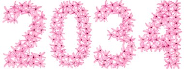 2034 yazıtları, sümbülün doğal çiçeklerinden, beyaz arka planda izole edilmiş.