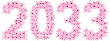 2033 yazıtları, sümbülün doğal çiçeklerinden, beyaz arka planda izole edilmiş.