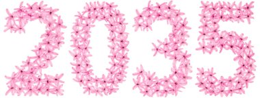 2035 yazıtları, sümbülün doğal çiçeklerinden, beyaz arka planda izole edilmiş.