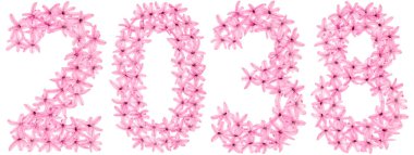 2038 yazıtları, sümbülün doğal çiçeklerinden, beyaz arka planda izole edilmiş.