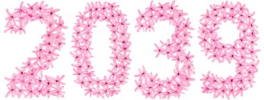 2039 yazıtları, sümbülün doğal çiçeklerinden, beyaz arka planda izole edilmiş.