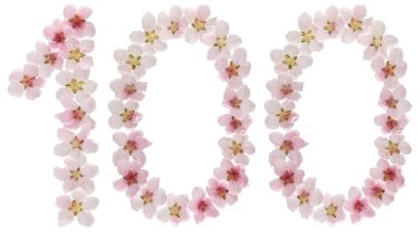 100 numara, 100, şeftali ağacının doğal pembe çiçeklerinden, beyaz arka planda izole.