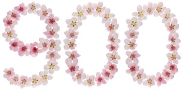900, 900 numara, beyaz arka planda izole edilmiş şeftali ağacının doğal pembe çiçeklerinden.
