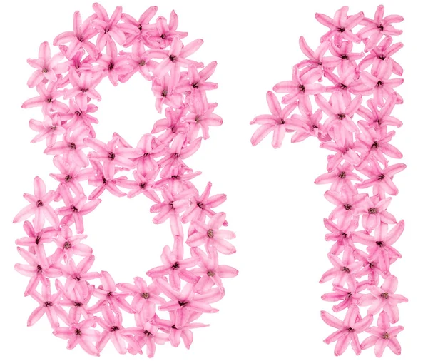 Numeral Eighty One Natural Flowers Hyacinth Isolated White Background — Stock Photo, Image