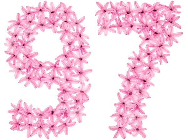 Nummer Zevenennegentig Van Natuurlijke Hyacint Bloemen Geïsoleerd Witte Achtergrond — Stockfoto
