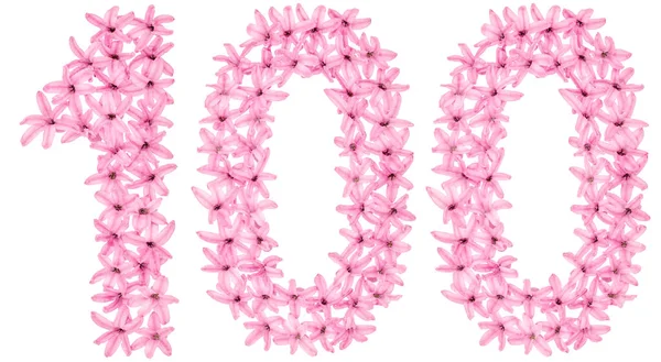 Zahl 100 Hundert Aus Natürlichen Blüten Der Hyazinthe Isoliert Auf — Stockfoto
