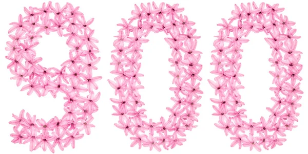 900, 900 numara, sümbülün doğal çiçeklerinden, beyaz arka planda izole edilmiş.