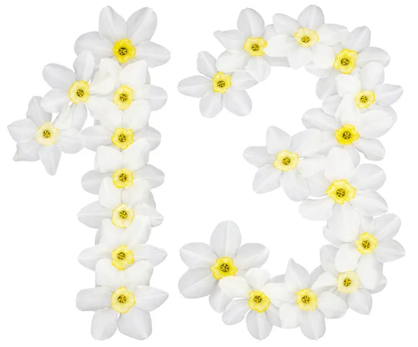 Numeral Thirteen Natural White Flowers Daffodil Narcissus Isolated White Background — Stock Photo, Image