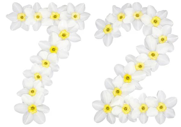 Numeralul Șaptezeci Doi Din Flori Albe Naturale Daffodil Narcis Izolate — Fotografie, imagine de stoc