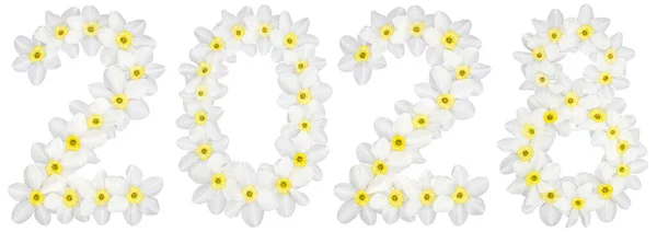 Inscription 2028 Natural White Flowers Daffodil Narcissus Isolated White Background — Stock Photo, Image