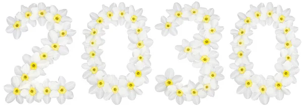 Inscrição 2030 Flores Brancas Naturais Daffodil Narciso Isoladas Sobre Fundo — Fotografia de Stock