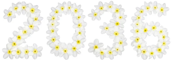Inscription 2036 Natural White Flowers Daffodil Narcissus Isolated White Background — Stock Photo, Image