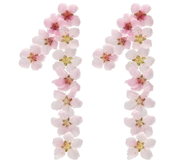 Numeral Elva Från Naturliga Rosa Blommor Persika Träd Isolerade Vit — Stockfoto