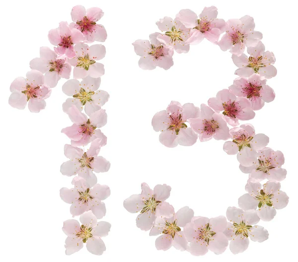 Číslo Třináct Přírodních Růžových Květů Broskvoně Izolované Bílém Pozadí — Stock fotografie