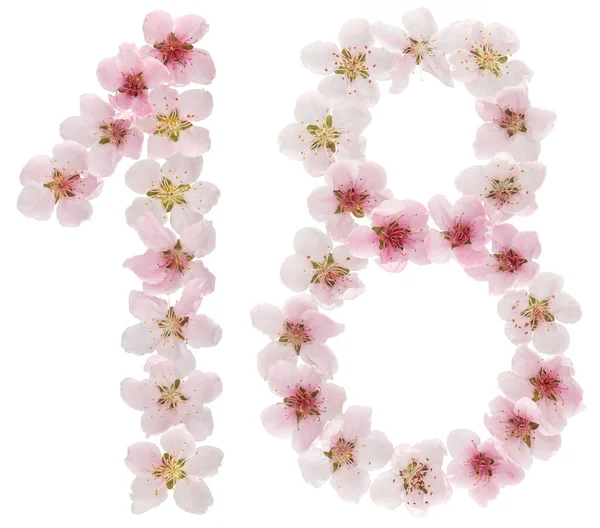 Nummer Van Natuurlijke Roze Bloemen Van Perzikboom Geïsoleerd Witte Achtergrond — Stockfoto