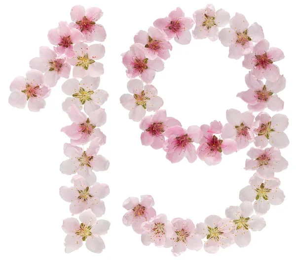 Číslo Devatenáct Přírodních Růžových Květů Broskvoně Izolované Bílém Pozadí — Stock fotografie