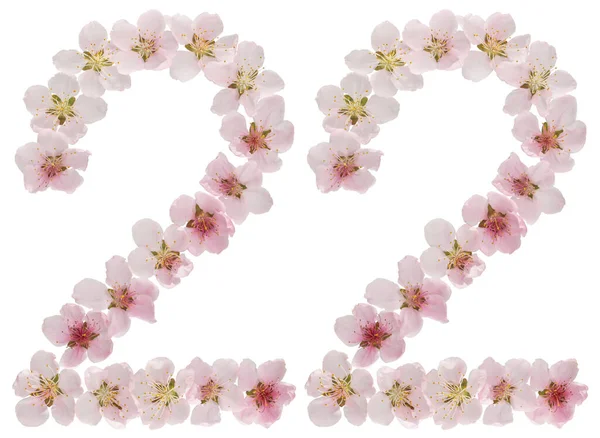 Zahl Zweiundzwanzig Aus Naturrosa Blüten Des Pfirsichbaums Isoliert Auf Weißem — Stockfoto