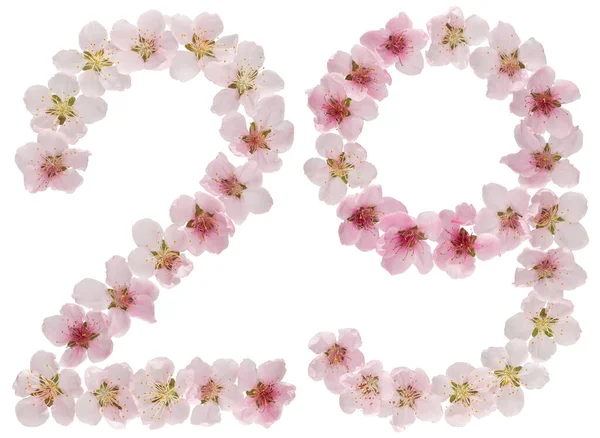 Číslice Dvacet Devět Přírodních Růžových Květů Broskvoně Izolované Bílém Pozadí — Stock fotografie